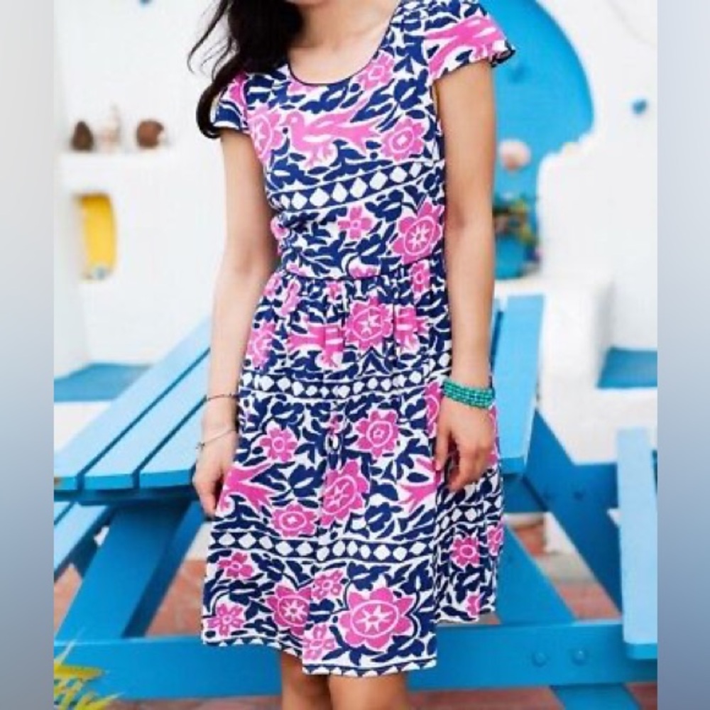 Anthropologie Maeve Peralta Dress